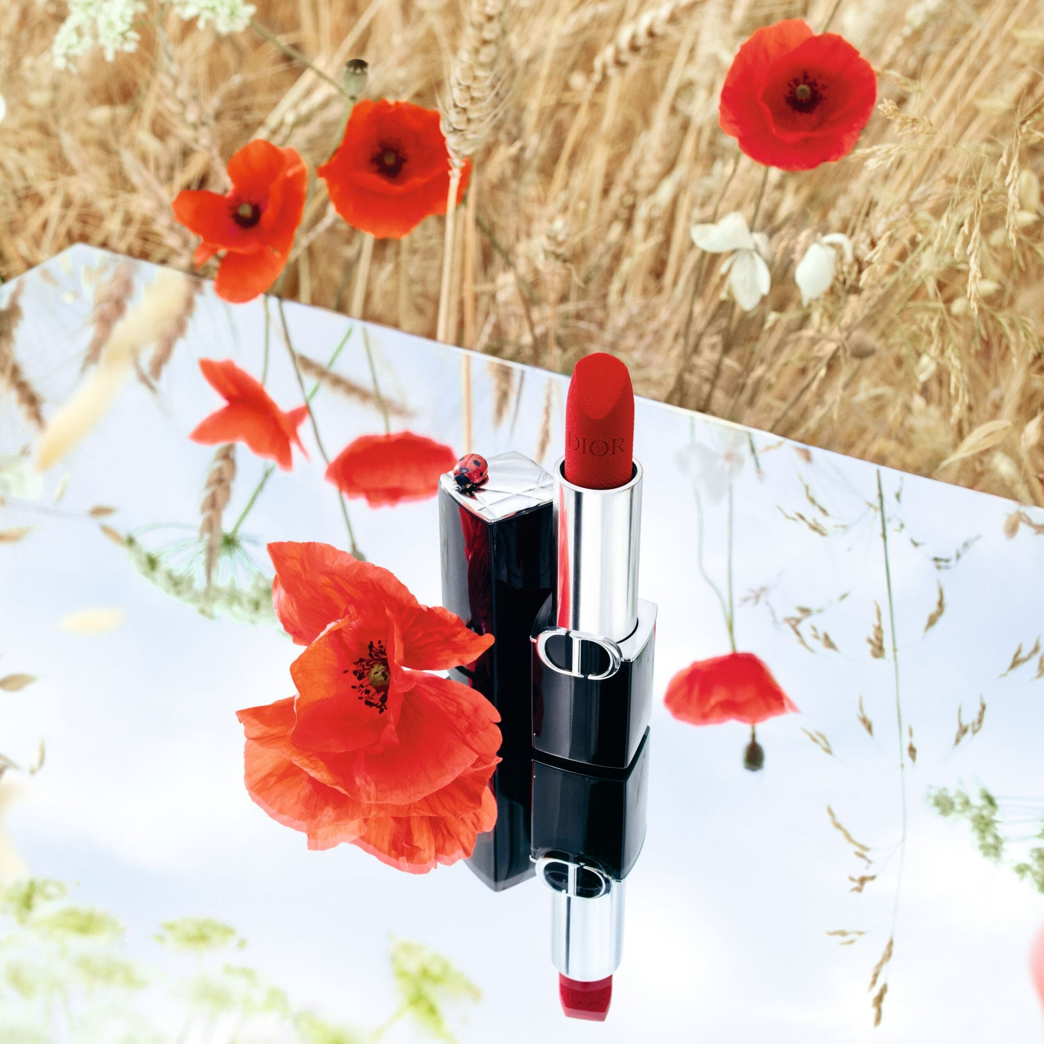 ROUGE DIOR | Couture Colour Lipstick - Velvet and Satin Finishes - Hydrating Floral Lip Care - Long Wear
